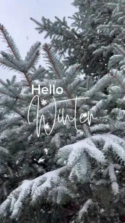 Hello winter