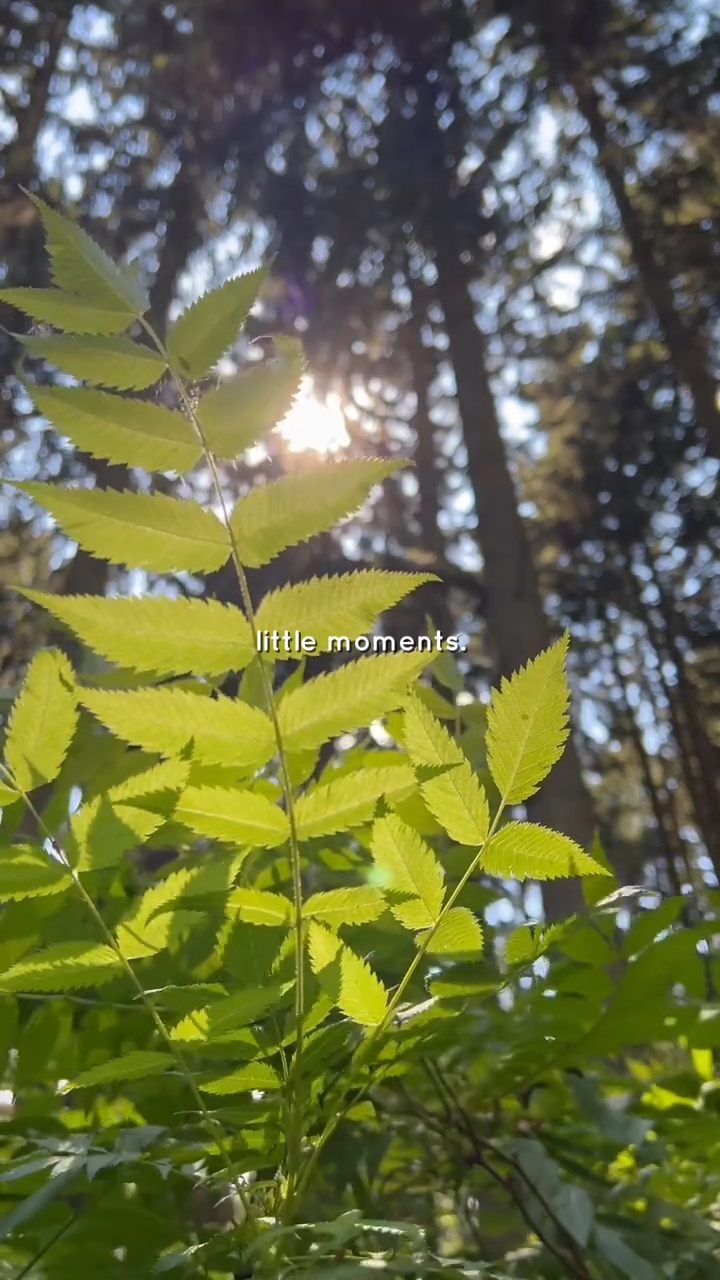 moments nature