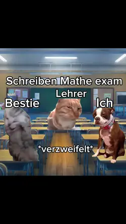 MATHE EXAMEN!!!