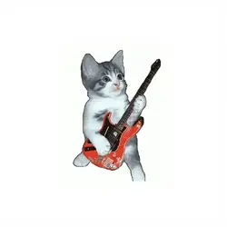 kucing gitar