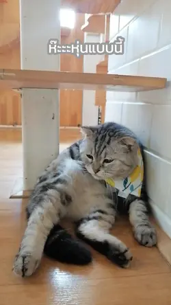 ห๊ะหุ่นแบบนี้