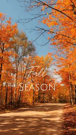 Fall season
