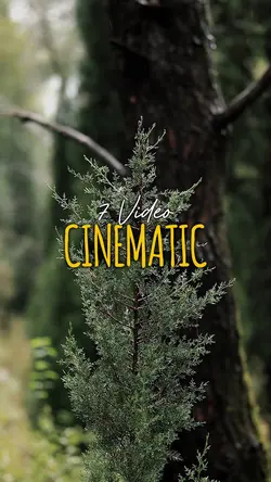 7 Clip Video