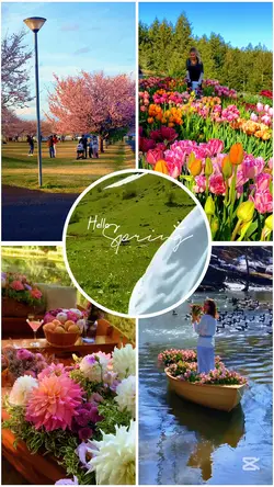 HELLO SPRING