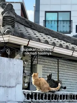 nikmati hasilnya🔥