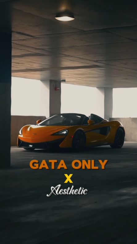 Voiture GATA UNIQUEMENT