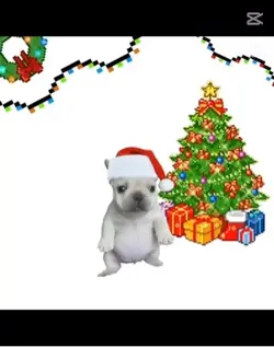 Pibble