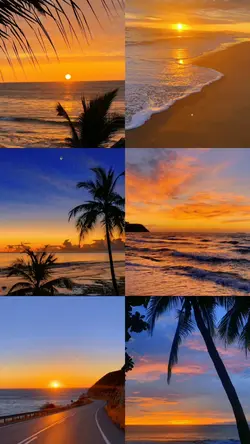 6 pics sunset