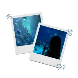 โพลาลอยด์ 