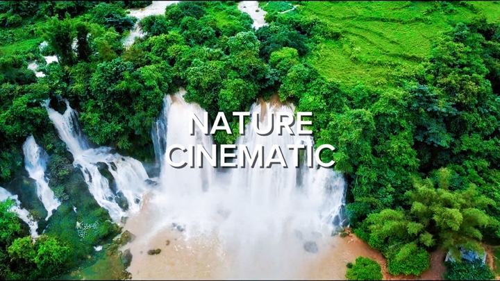 Naturaleza cinematográfica