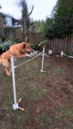 he was SO excited