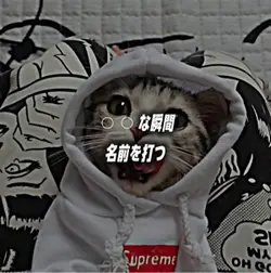 ⚪︎⚪︎な瞬間