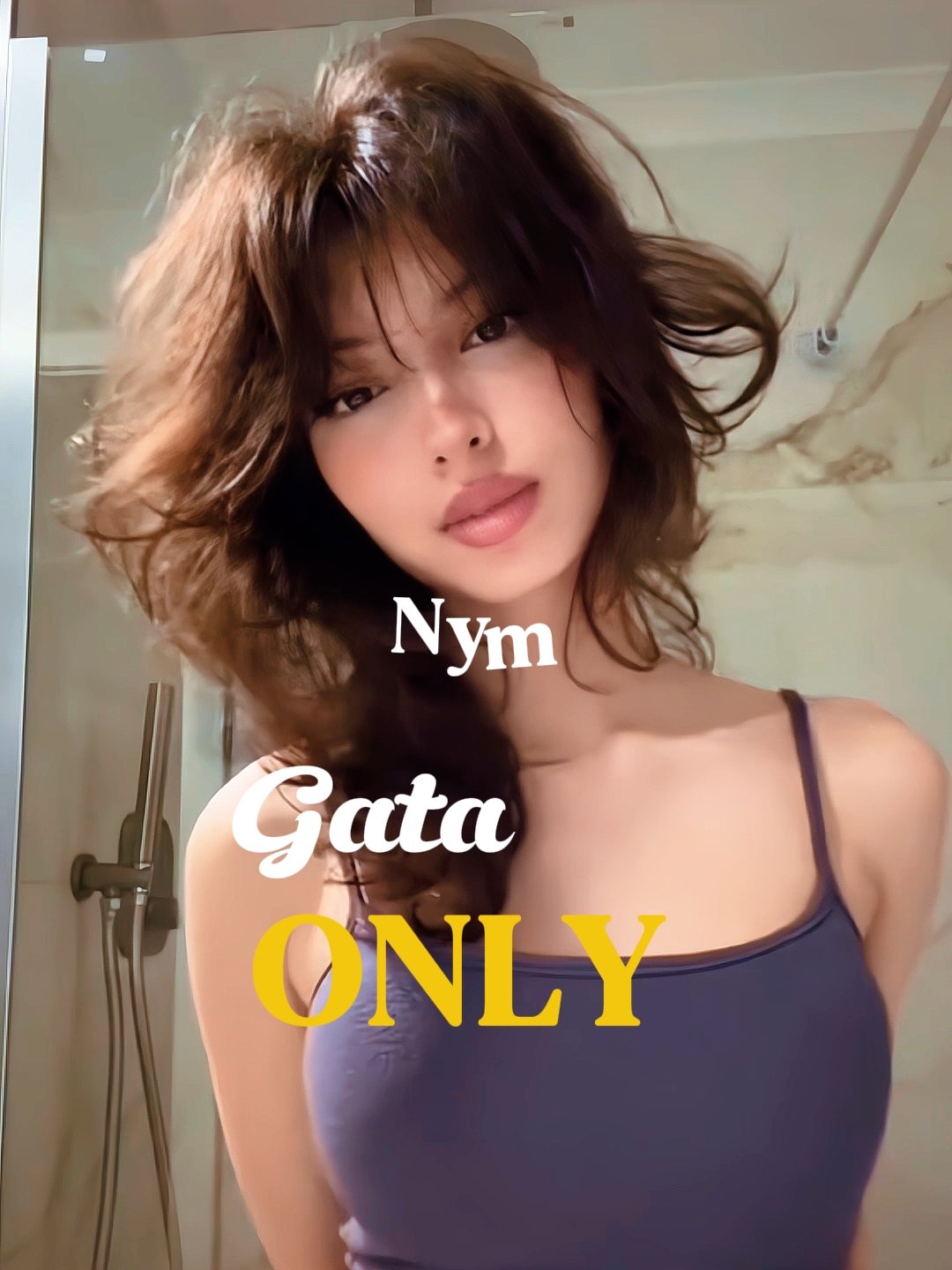 Solo Gata