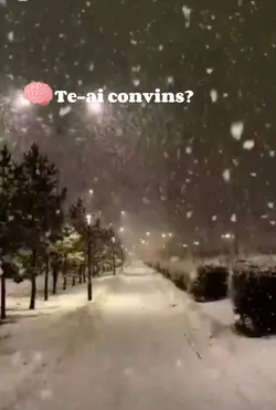 ....