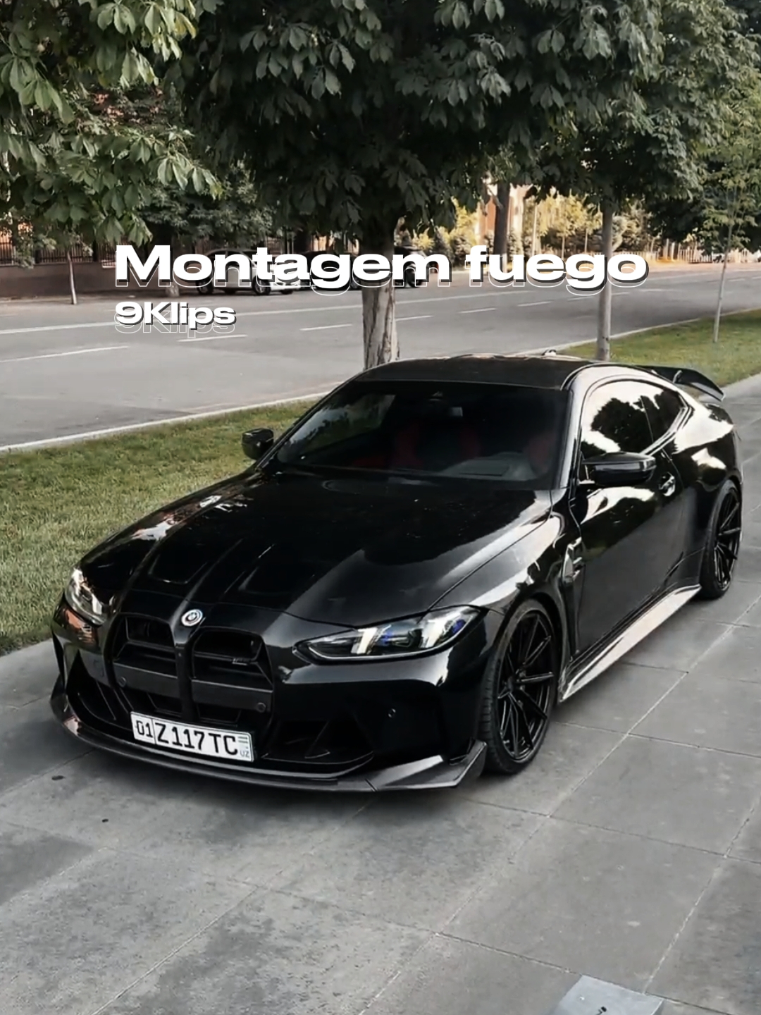 Montagem fuego