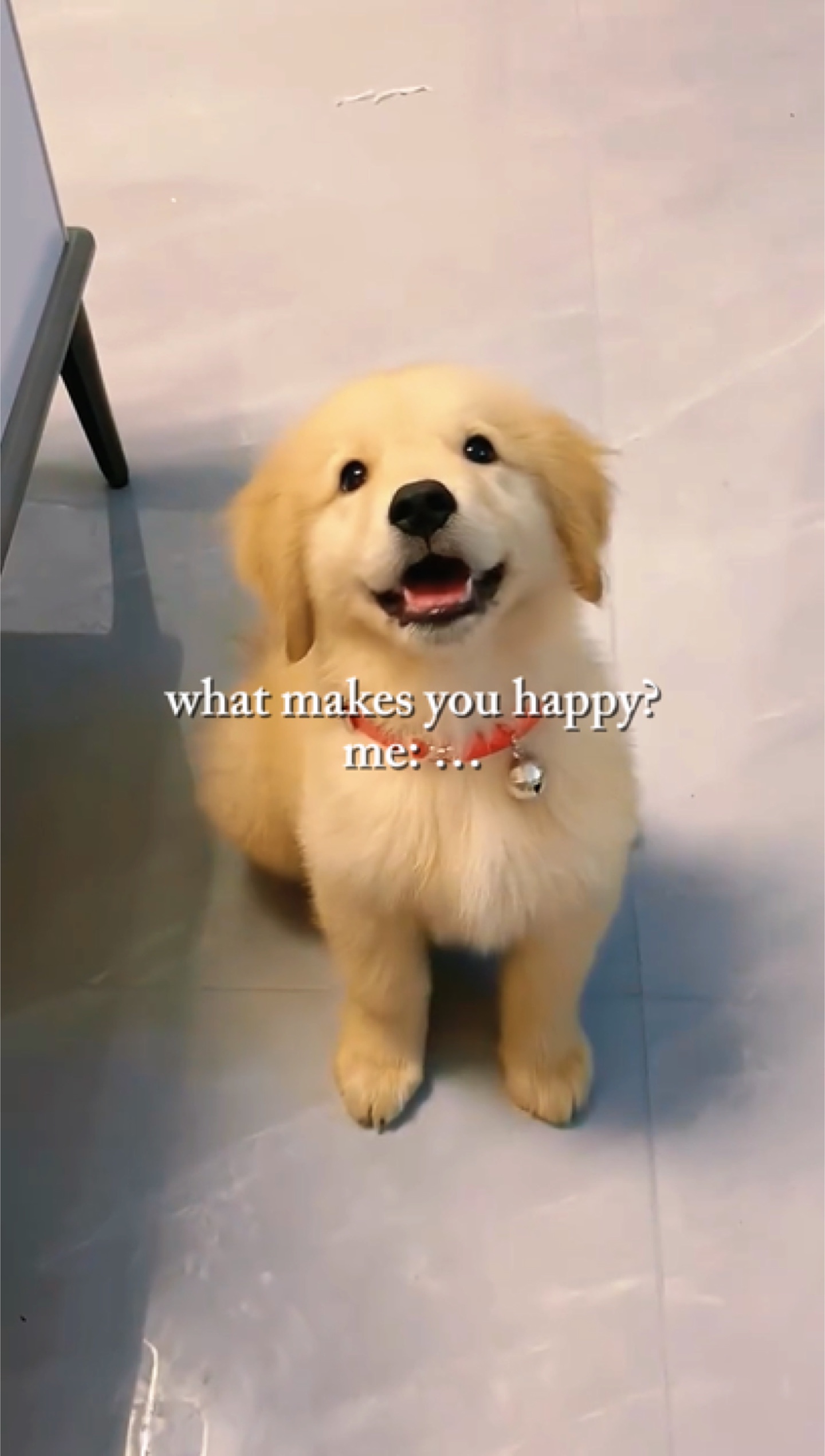 happy: patner