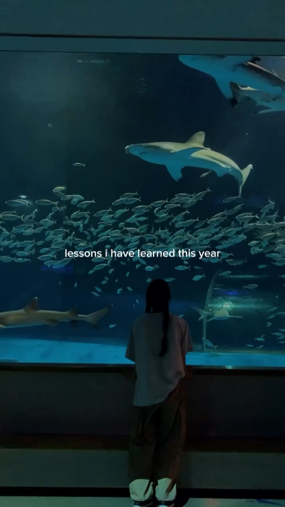 learned this year