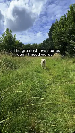 Dog template