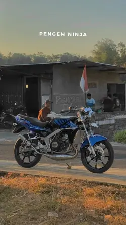 pengen ninja