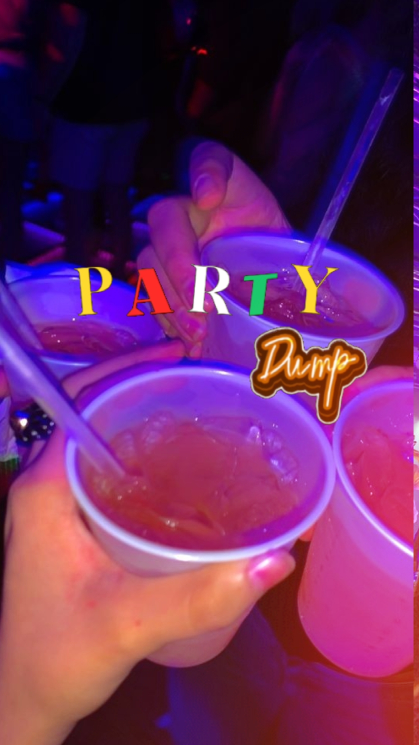 Party Dump