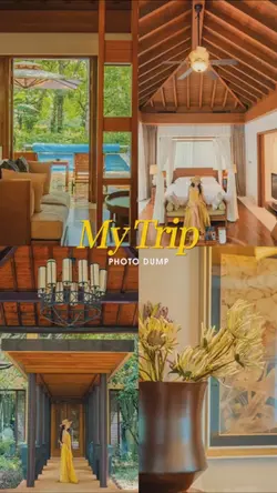 Album ảnh du lịch🌻