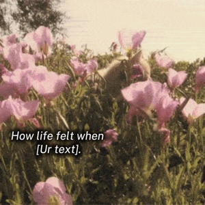 Comment la vie s'est sentie quand...