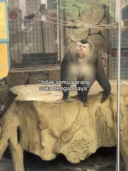 tidak semua orang