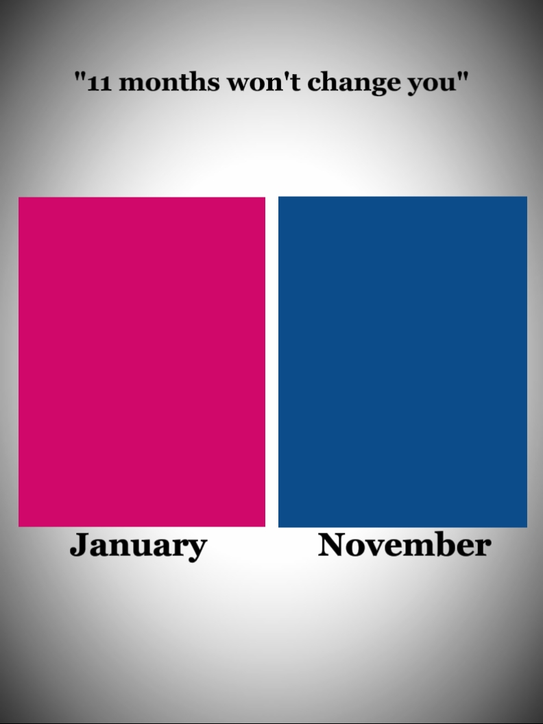 11 ay 