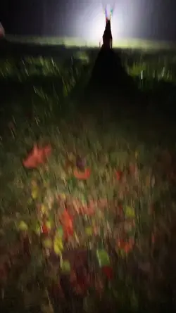 christmas is 2 weeks