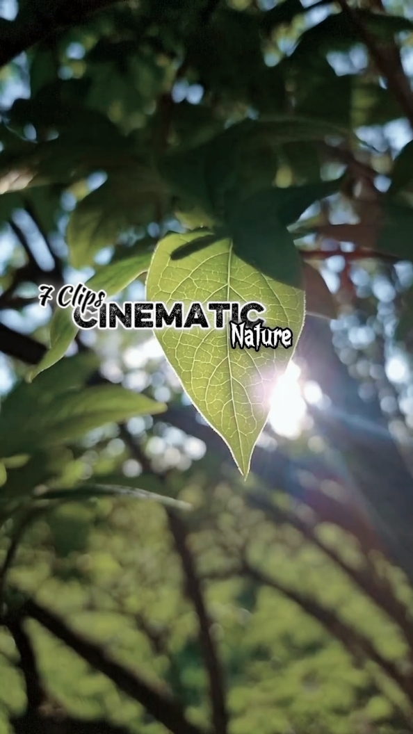 Cinematic 7 Clips 