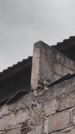 Cinematic jj plat kt