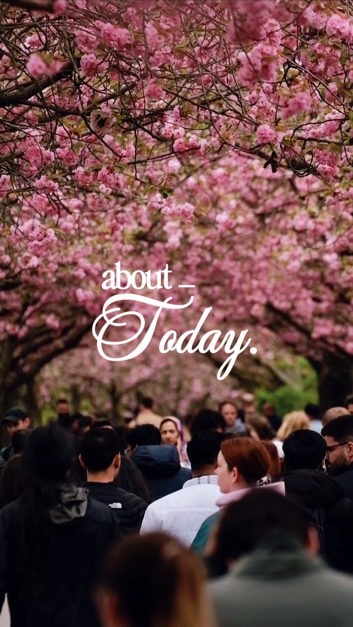 Sakura Cinematográfica