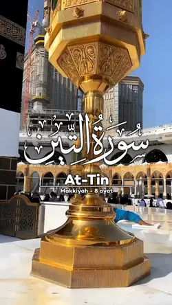 SURAH AT - TIN 