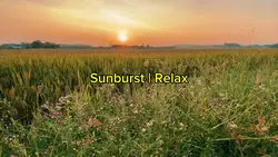 Sunburst