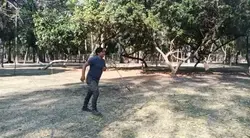 Para ese amigo 