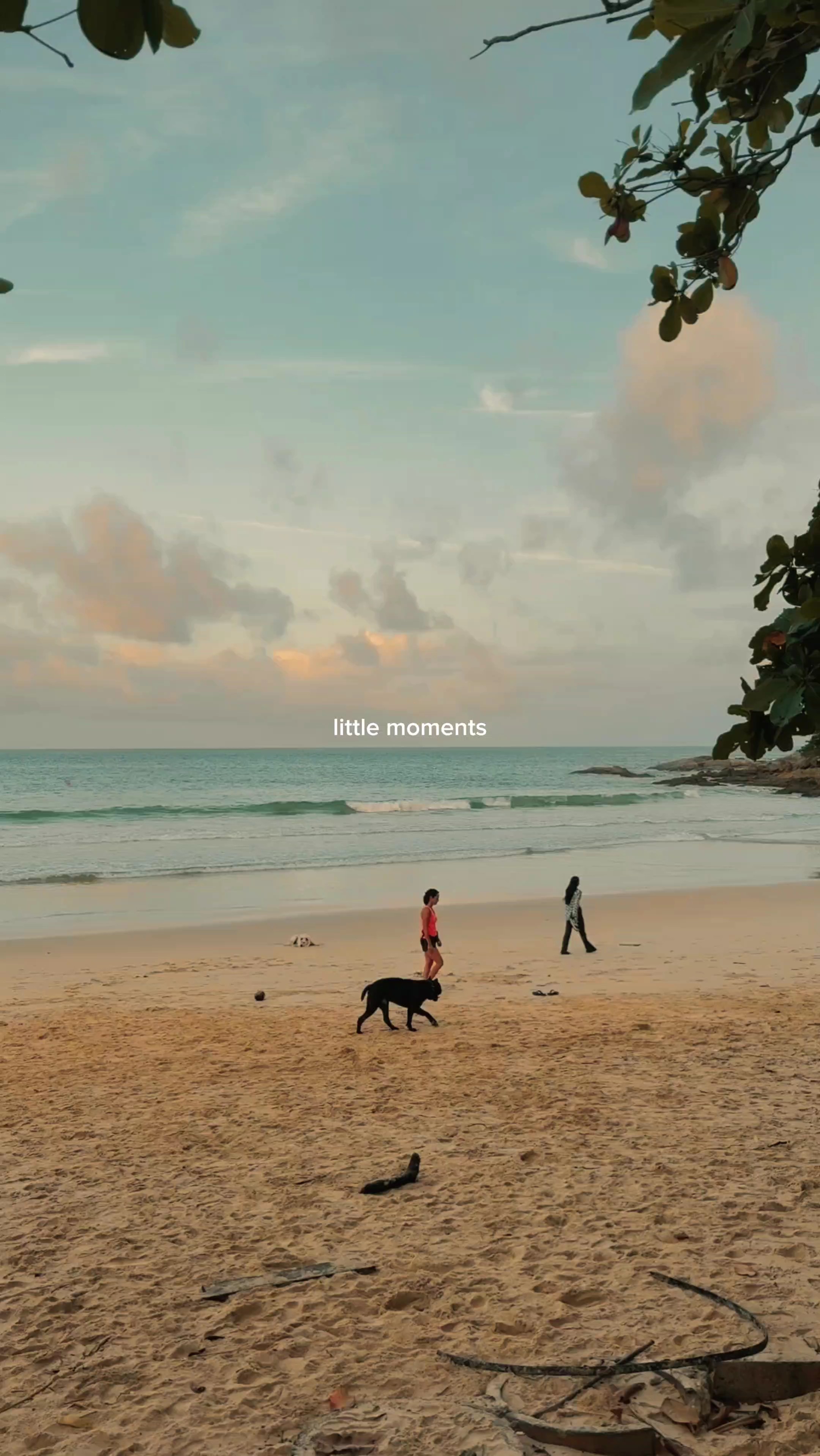PEQUEÑOS MOMENTOS 