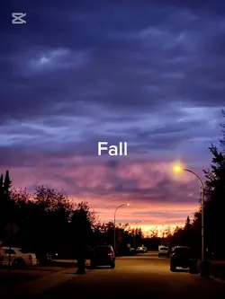 fall in love