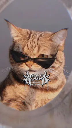 2รูป เท่ๆ