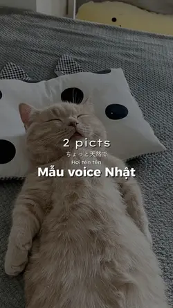Mẫu voice Nhật