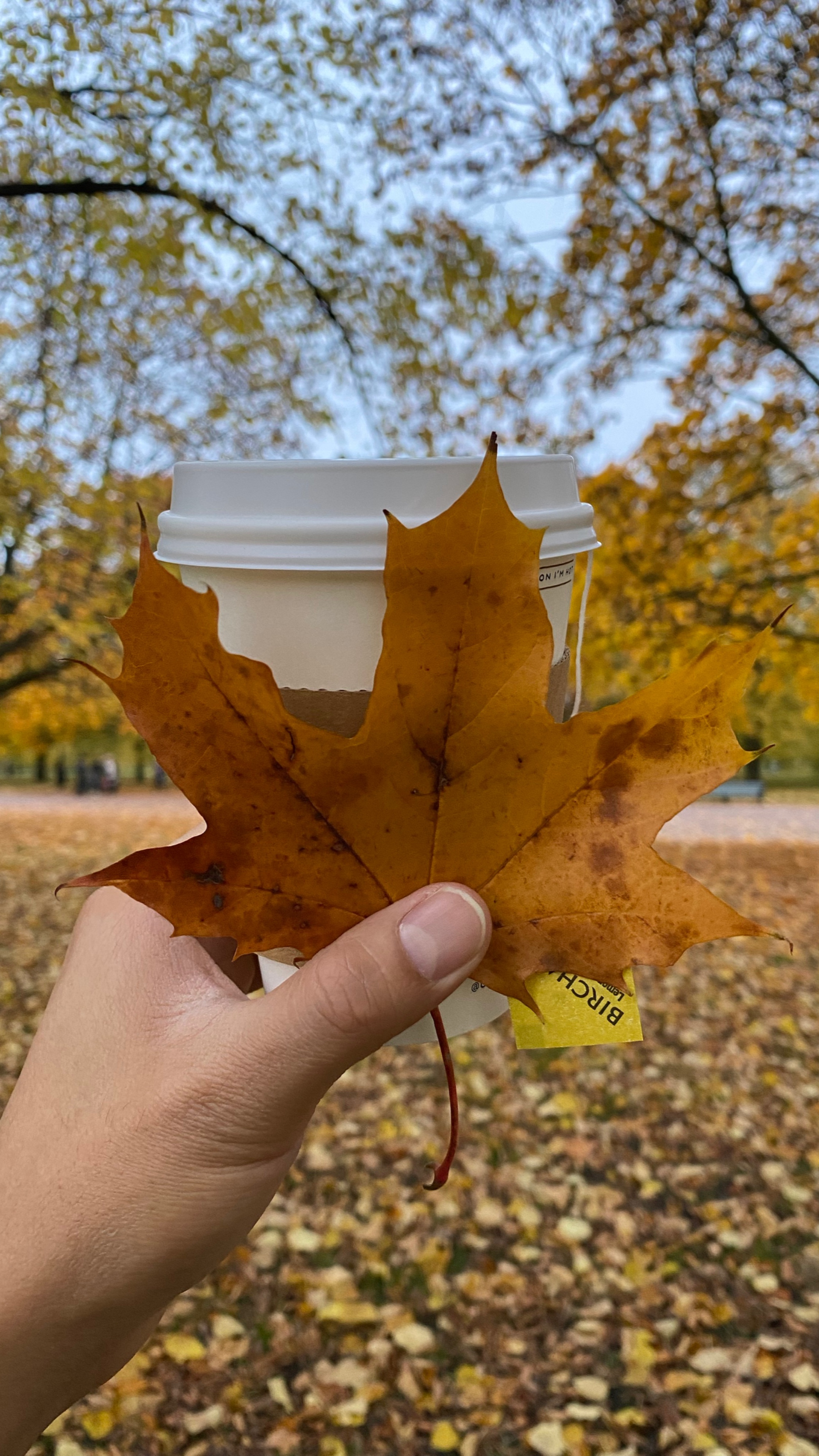 Herbst in London