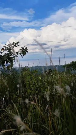 video template 