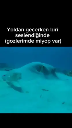 algilamak uzun suruy