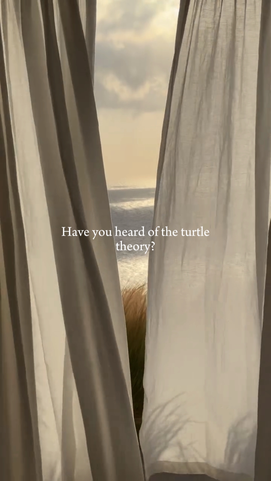 the turtle theory