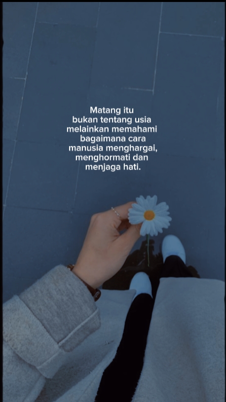인용 이야기