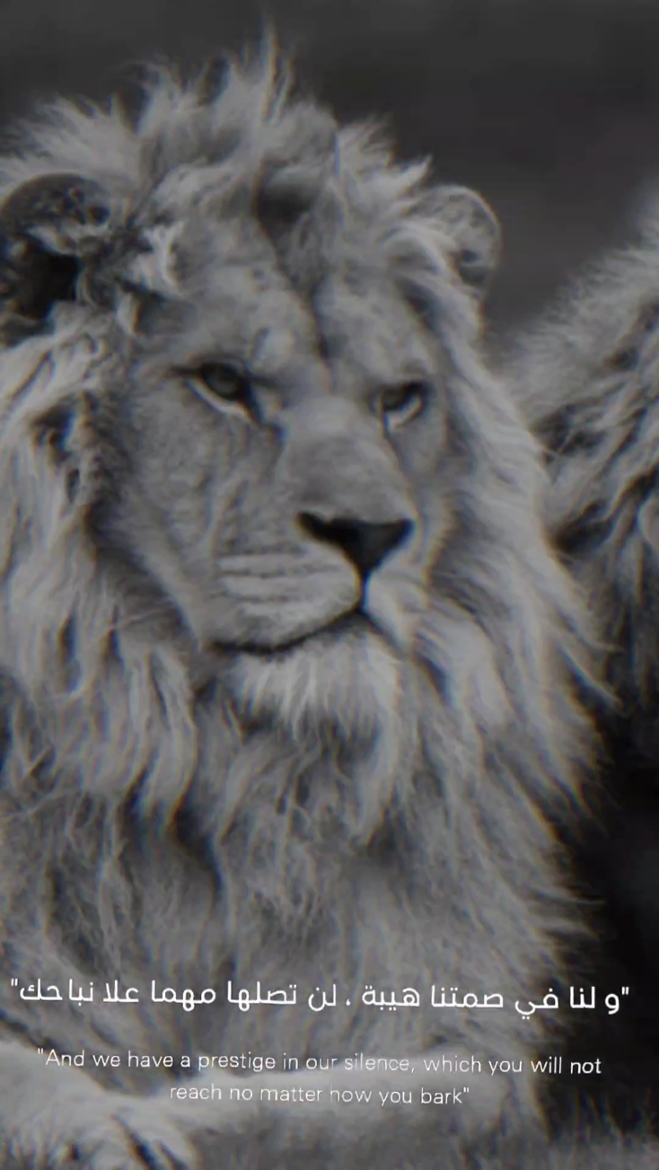 لنا في صمتنا هيبة