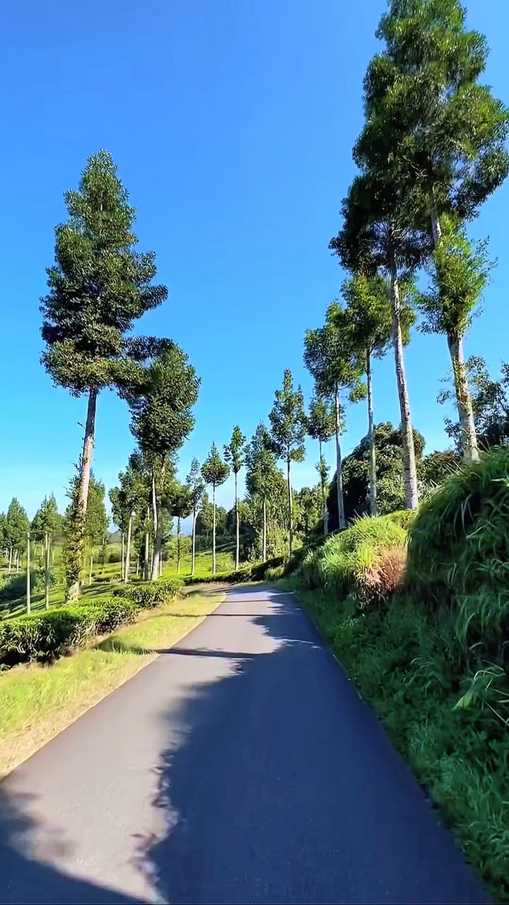 8 video road