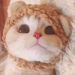 愛情買賣