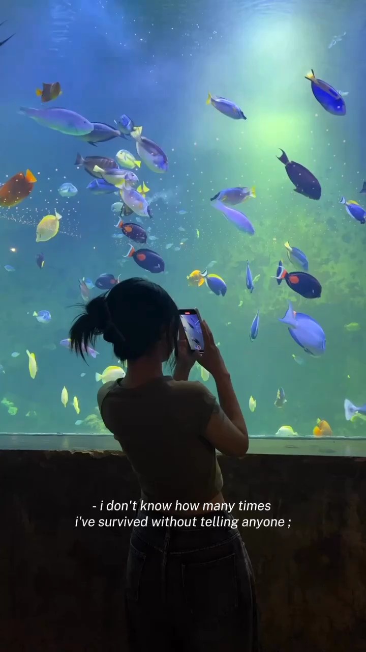 인용문 브이로그