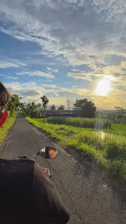 1 VID JERNIH