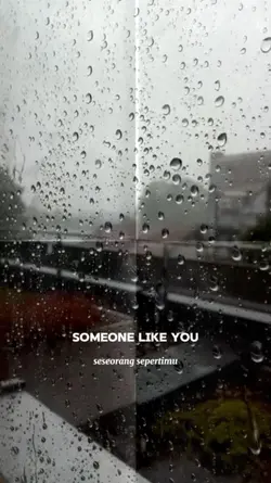someone like you